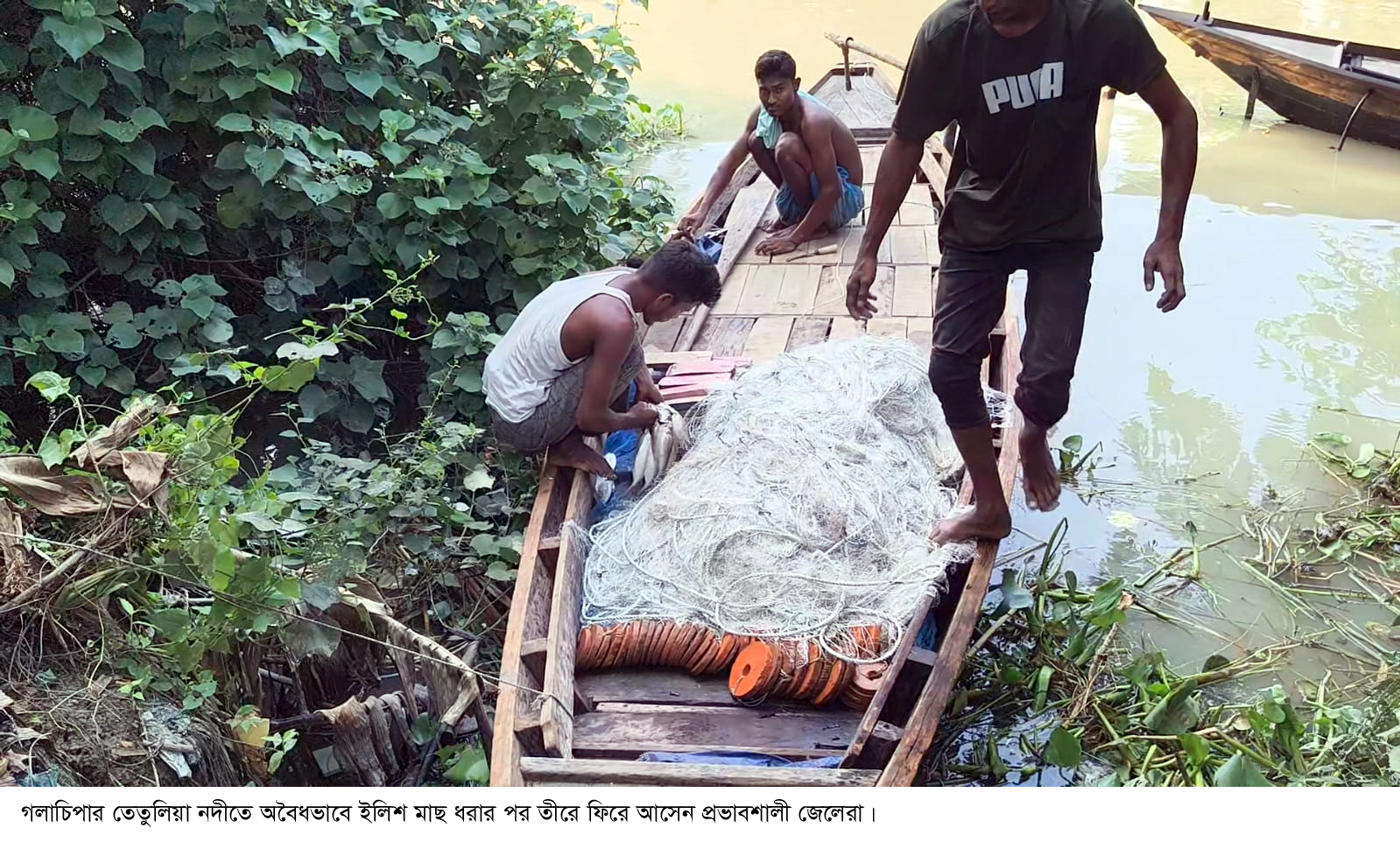 গলাচিপায় নিষেধাজ্ঞা অমান্য করে চলছে দেদারসে ইলিশ শিকার