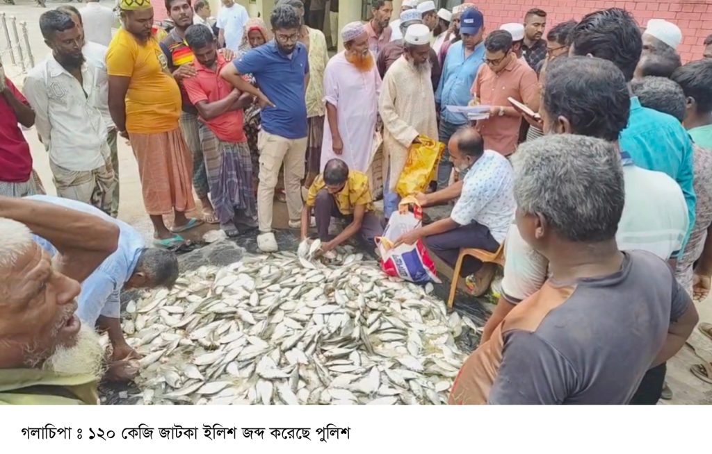 গলাচিপায় ১২০ কেজি জাটকা জব্দ